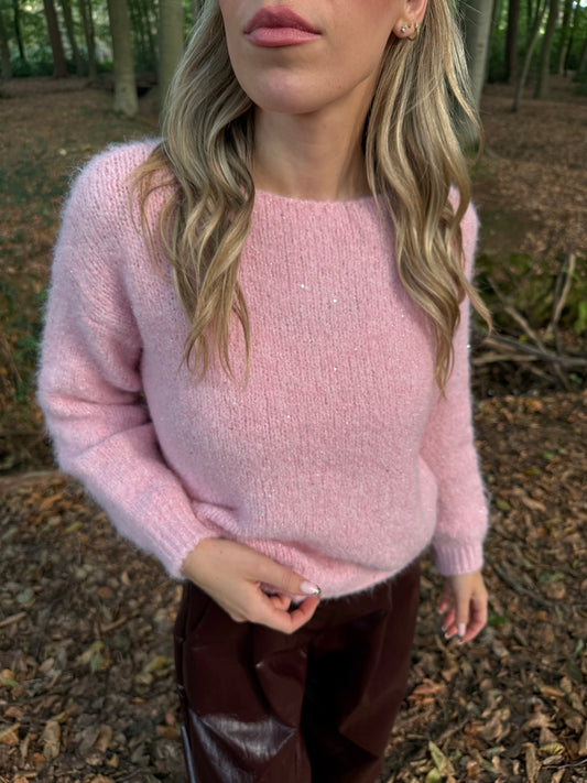 Pink Teddy